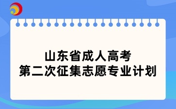 2024年山东省成人高考第二次征集志愿专业计划